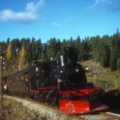 No.252 hauling a Norwegian Railway Association special on the Kronderen line in 1970. (Norsk Jernbanemuseum)